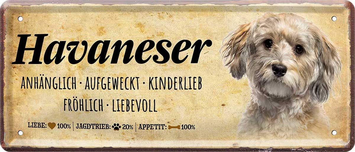 Retro Blechschild Französische Bulldogge – 28x12 Cm, Witziger Spruch, Geschenkidee Für Hundefreunde