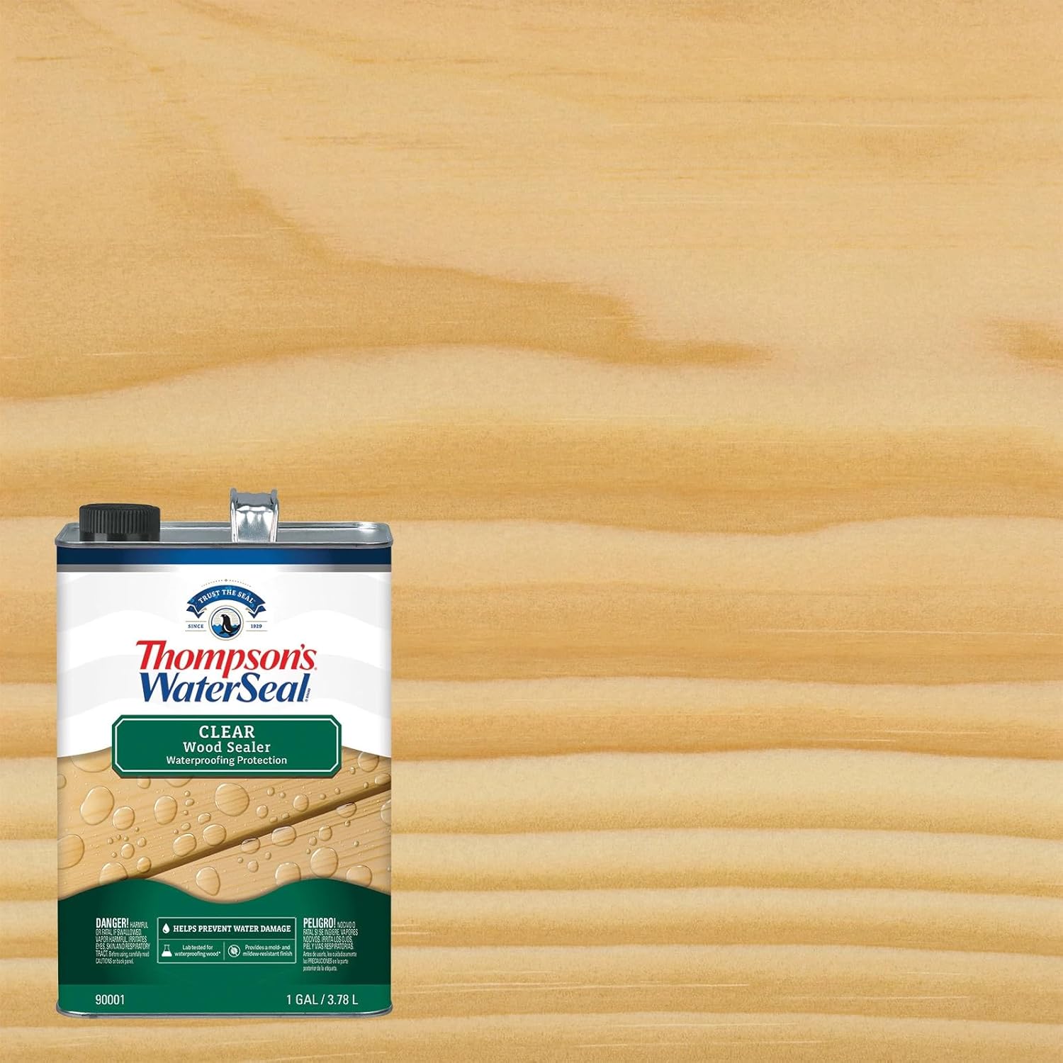 Thompson's WaterSeal Clear Wood Sealer, Clear, 1 Gallon