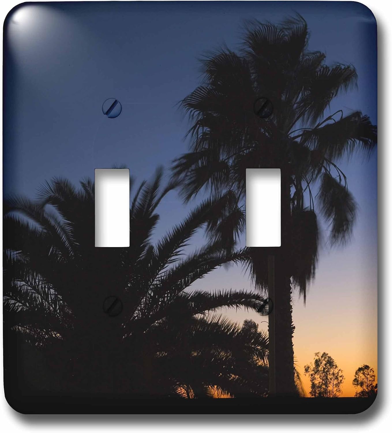 3dRose lsp_74085_2 Palm Trees Sunset Stuart Highway Outback Australia-Au01 Dwa1937 David Wall Double Toggle Switch