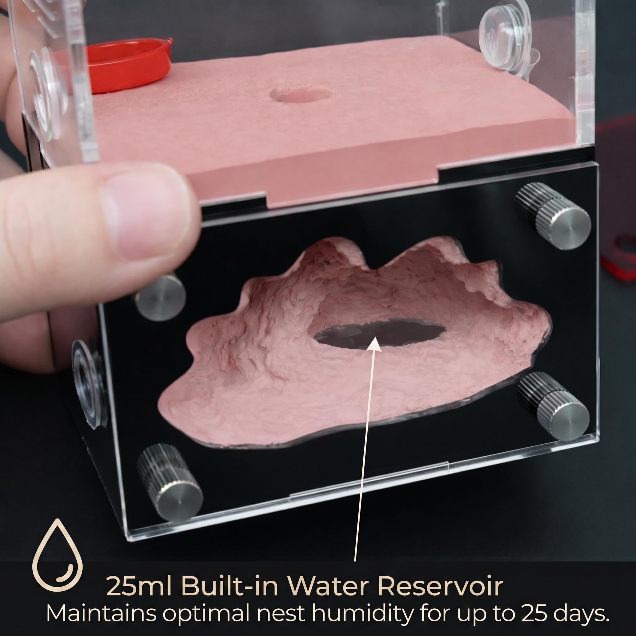 Formicarium - Kit Habitat per Ant Farm, per osservazione del comportamento, terrario educativo per adulti e bambini