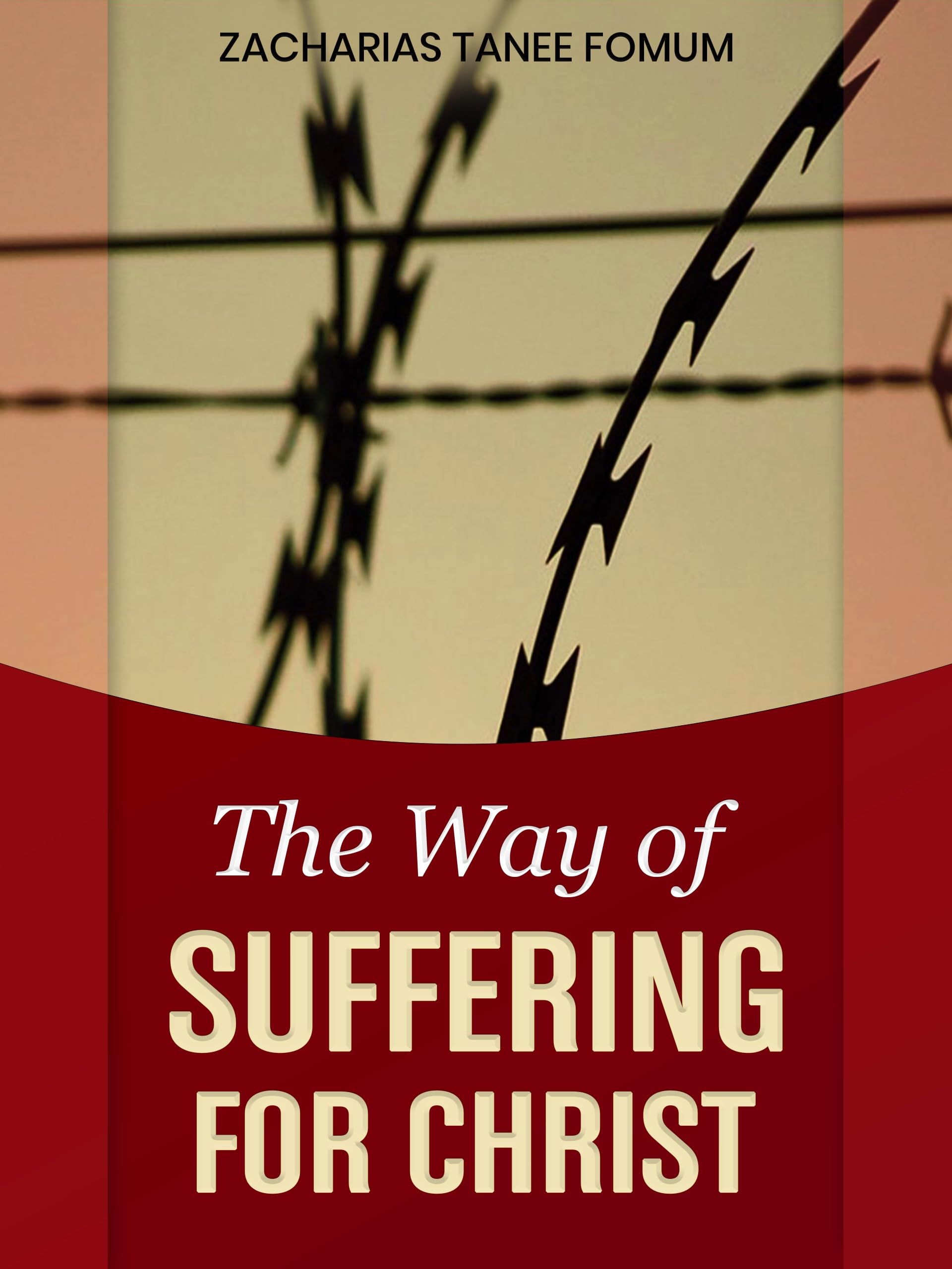 The Way of Suffering for Christ (The Christian Way Book 9)