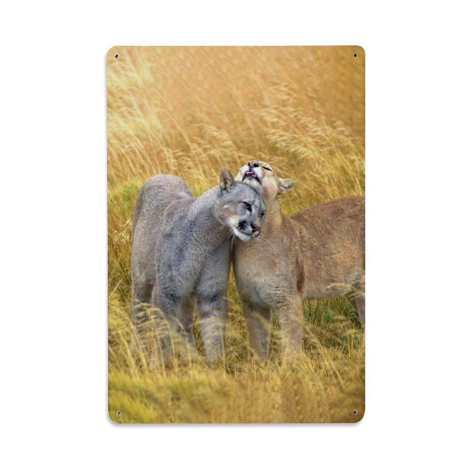 Wild Felines Mountain Lion Cougar Safari Wildlife Classic Metal Tin Sign Plaque Wall Decor for Cafe, Man Cave, Club Bar, Office, Home Garden Round Metal Poster 8x12Inch