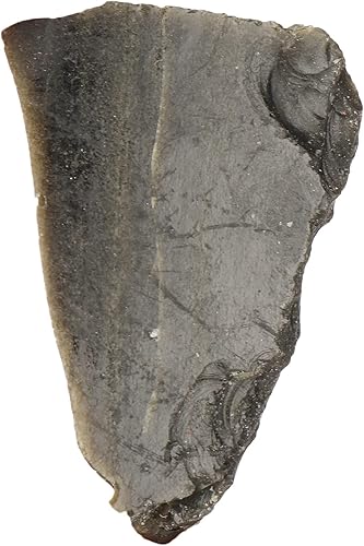 GEMHUB Obsidiana negra natural de 253.65 CT piedra preciosa suelta áspera piedra preciosa curativa para decoración del hogar, curación, interior,