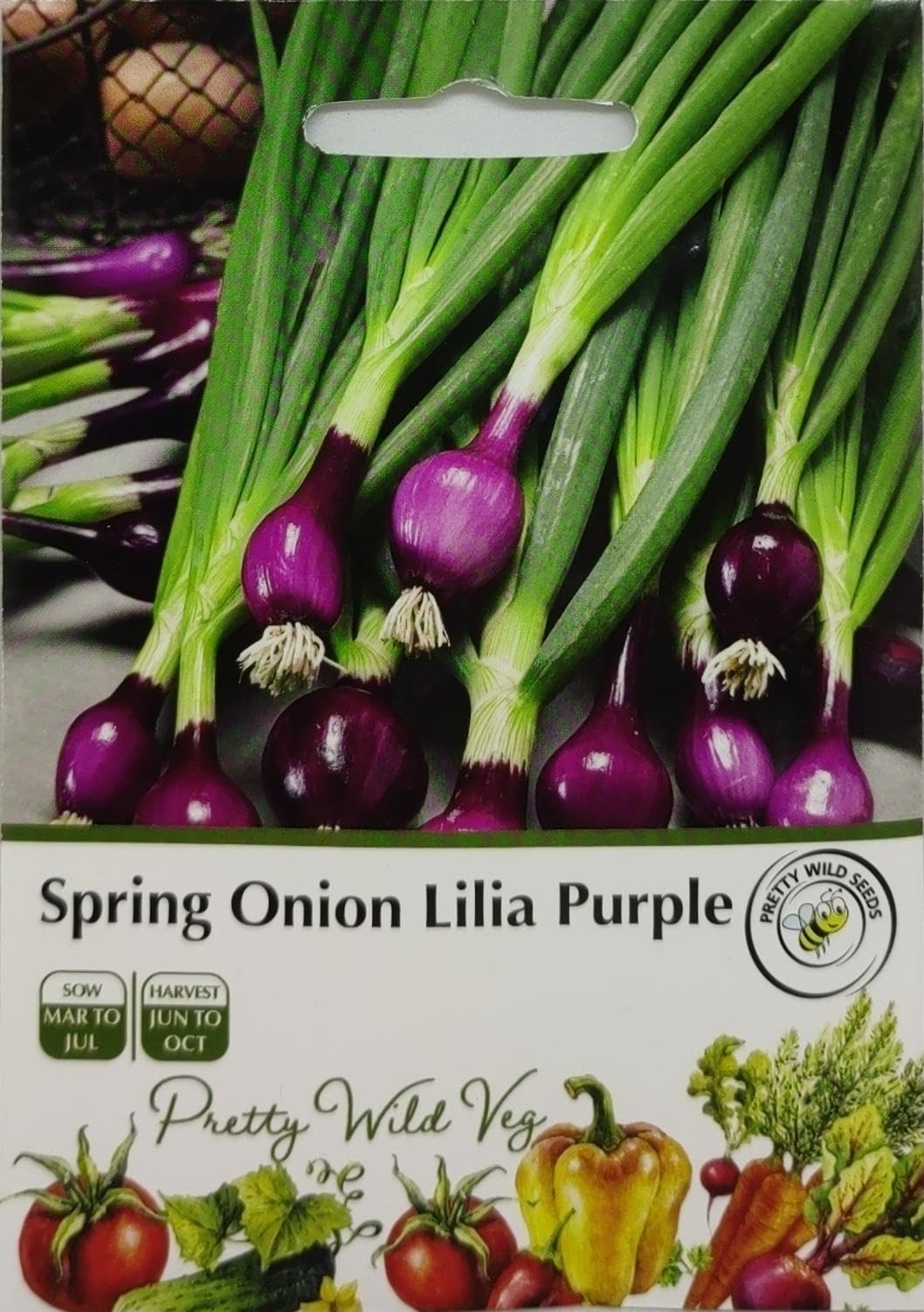 Spring Onion Lilia Purple Seeds in Pictorial Packet - 500 Seeds