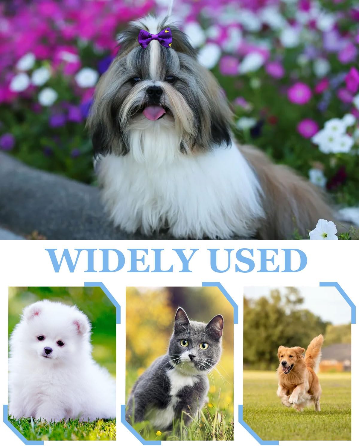 Dog Hair Bows, Dog Hair Bows Dog Hair Accessories with Bands for Small Dogs, Cats and Puppies, Random Colors (20 pcs) 6