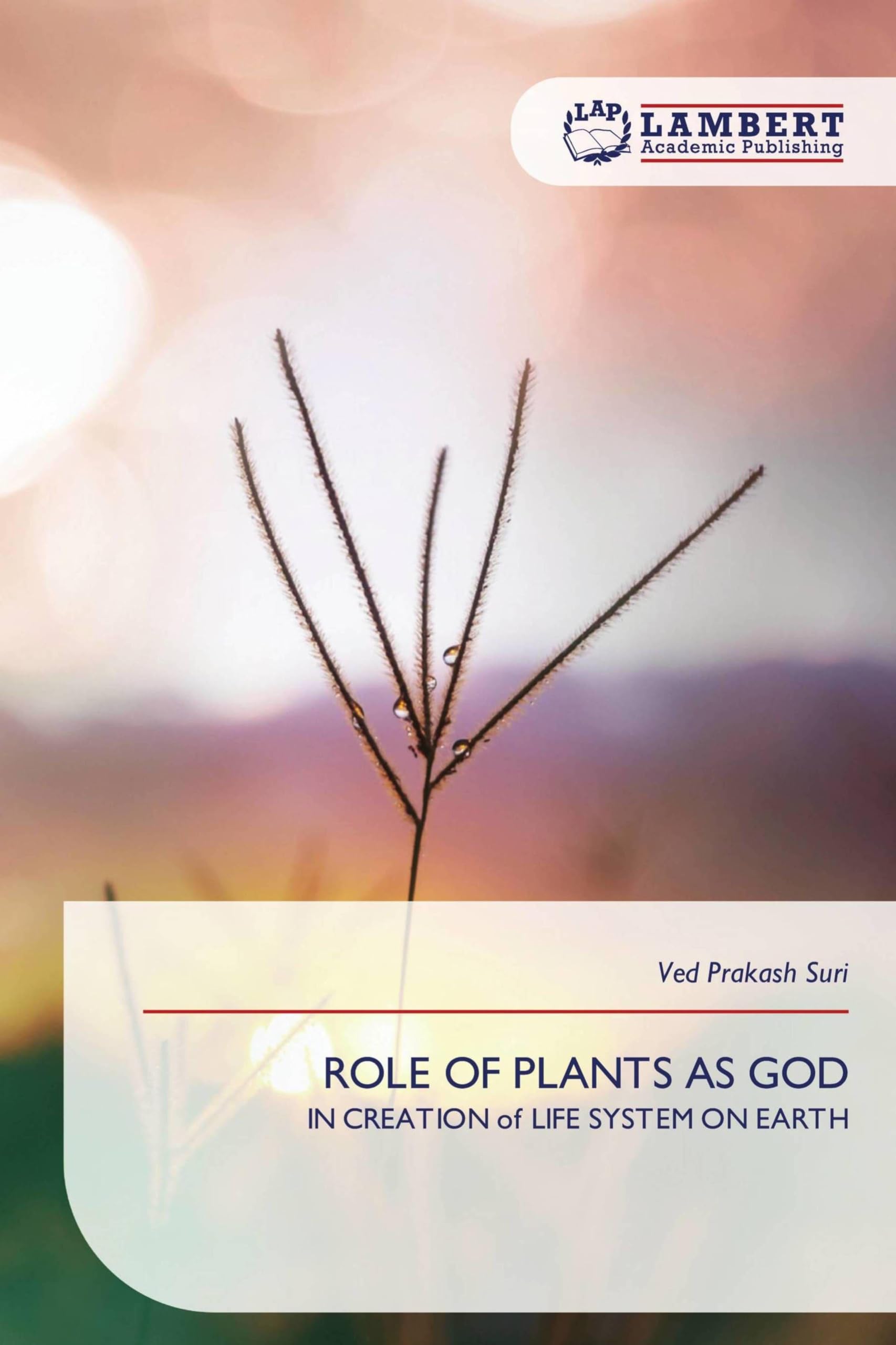 Role of Plants as God: IN CREATION of LIFE SYSTEM ON EARTH