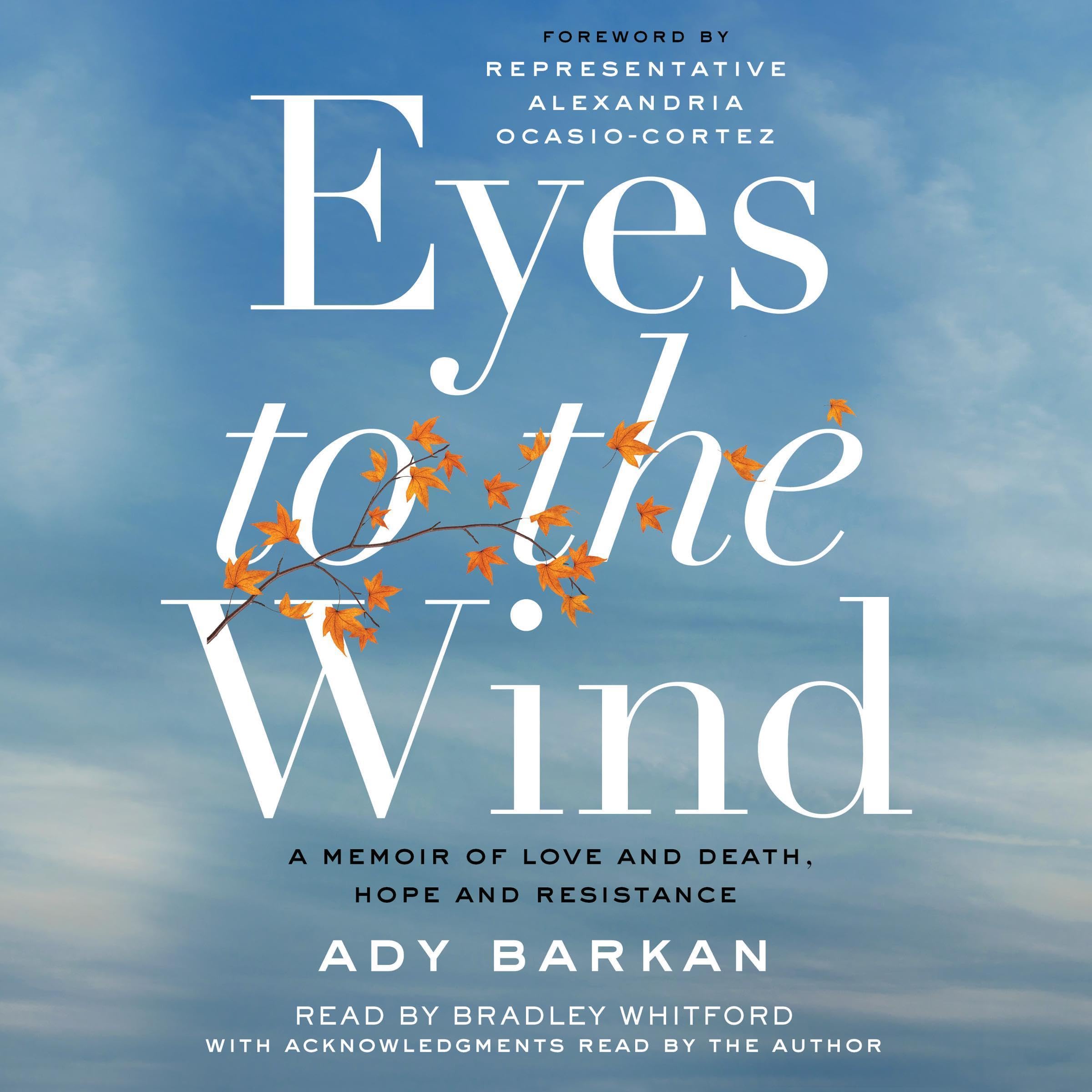 Cover art for Eyes to the Wind