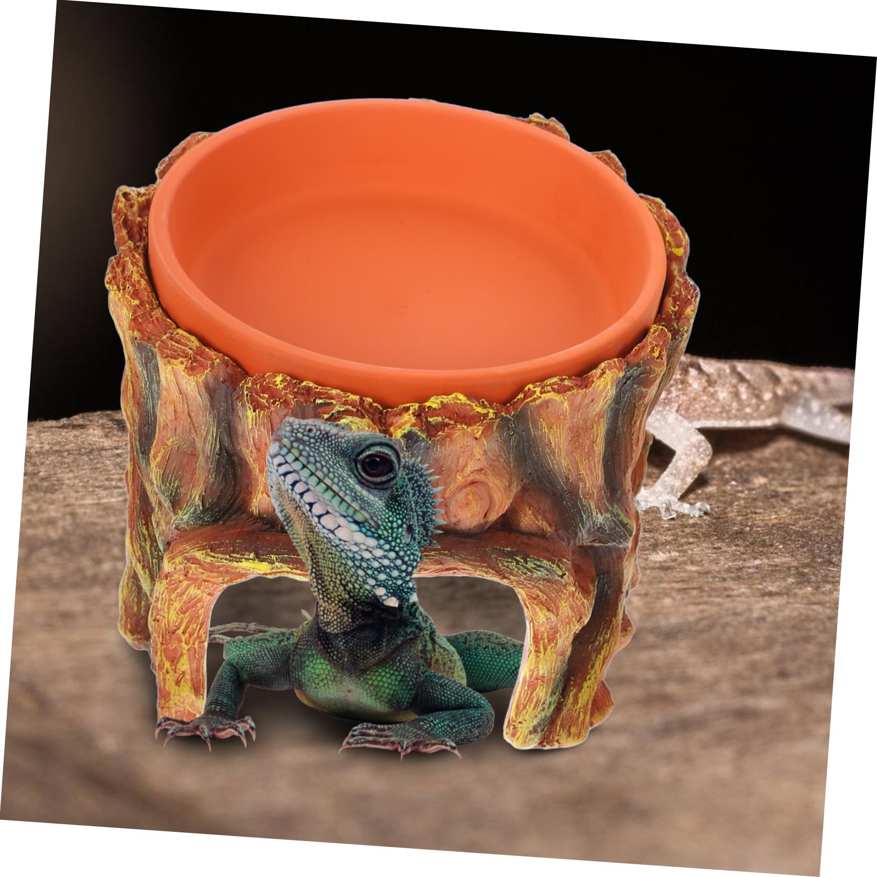 TOYANDONA Nascondiglio per Rettili con Decorazione per Terrario e Design Versatile e Facile da Installare per Lucertole e Gechi