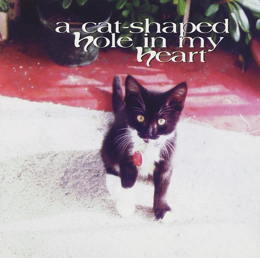 CAT-SHAPED HOLE IN MY HEART / VARIOUS