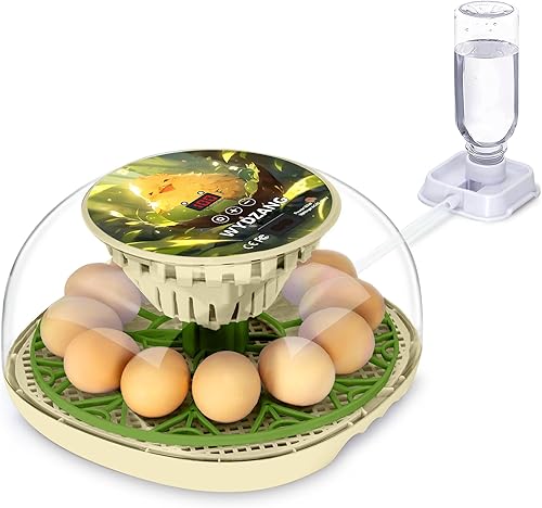 Miniatura 1 de WYD2ANG Incubadoras inteligentes de pollo para incubar huevos con volteador automático, aves, pato, codorniz, incubadora de 12 huevos, pantalla de