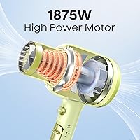 Vista 10 de Wavytalk Secador de pelo, secador de pelo iónico soplado para cabello rizado con difusor, secador de secado rápido de 1875 W con tecnología