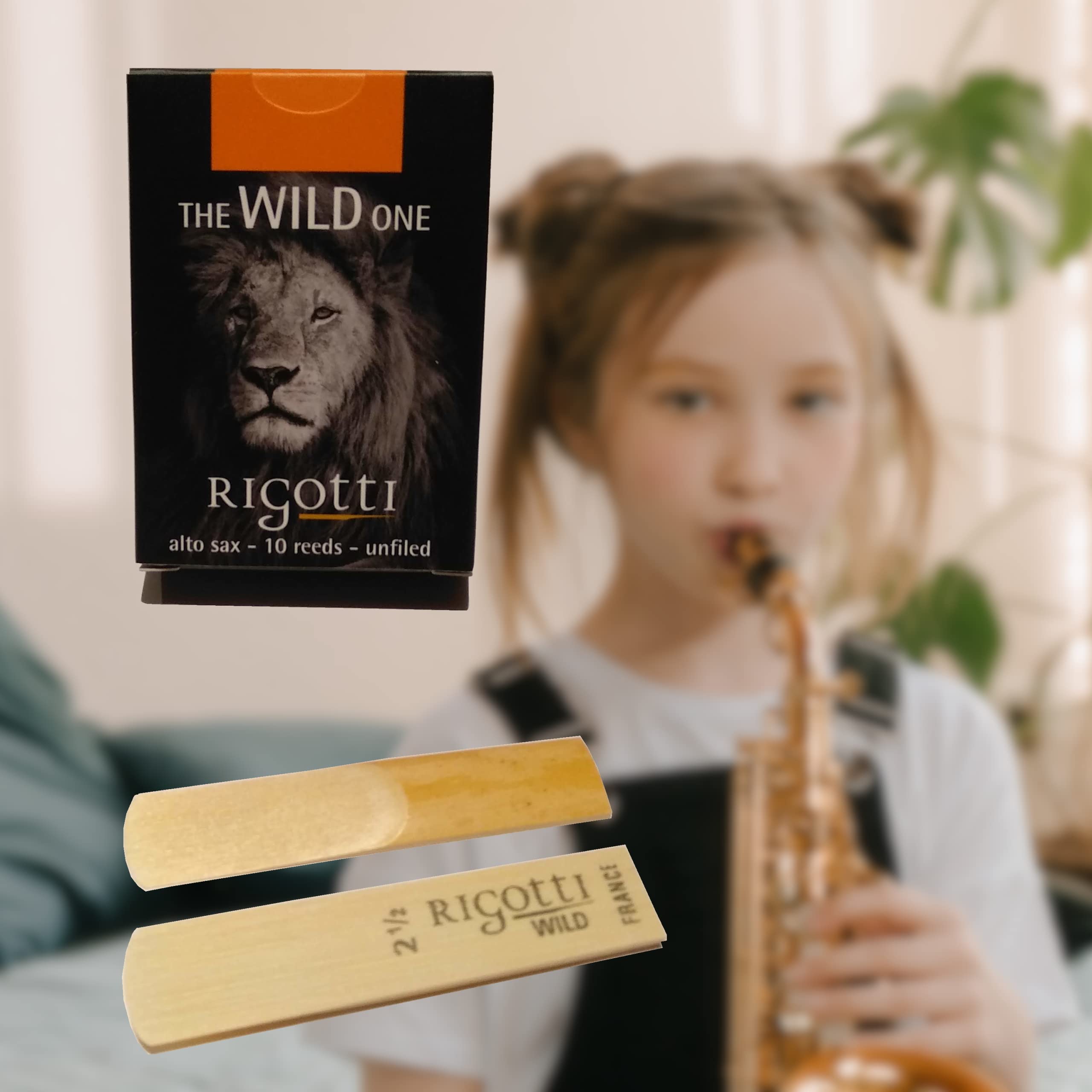 Amazon.com: Rigotti Wild Alto Saxophone Reeds - 3 (10-pack