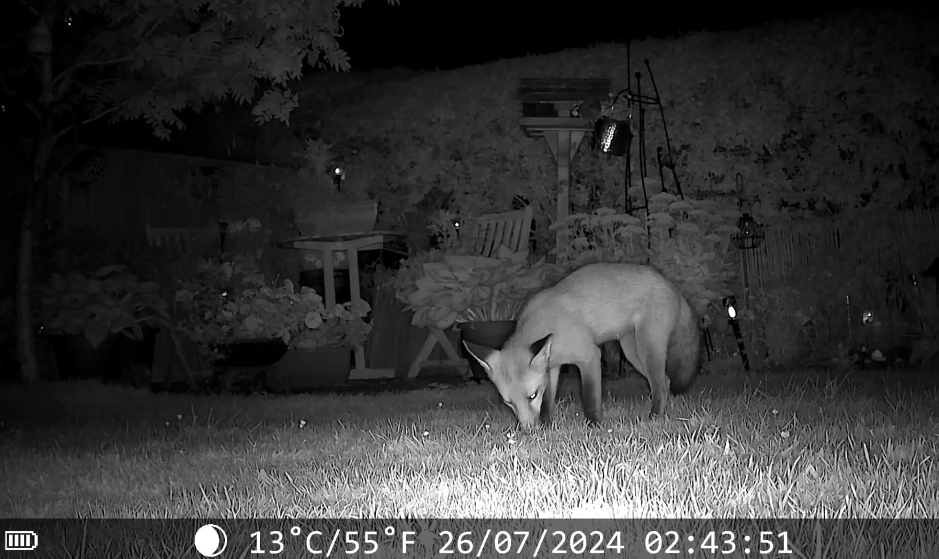 Wildlife Camera 4K 48MP, Trail Cameras With Night Vision Waterproof - View #7