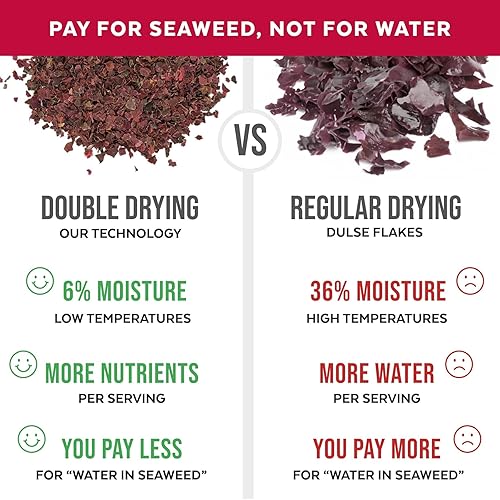 Vista 4 de Organic Atlantic Dulse Flakes - Algas marinas Young Baby cultivadas en el Atlántico Norte, secado al vacío, calidad premium. Textura suave y sabor