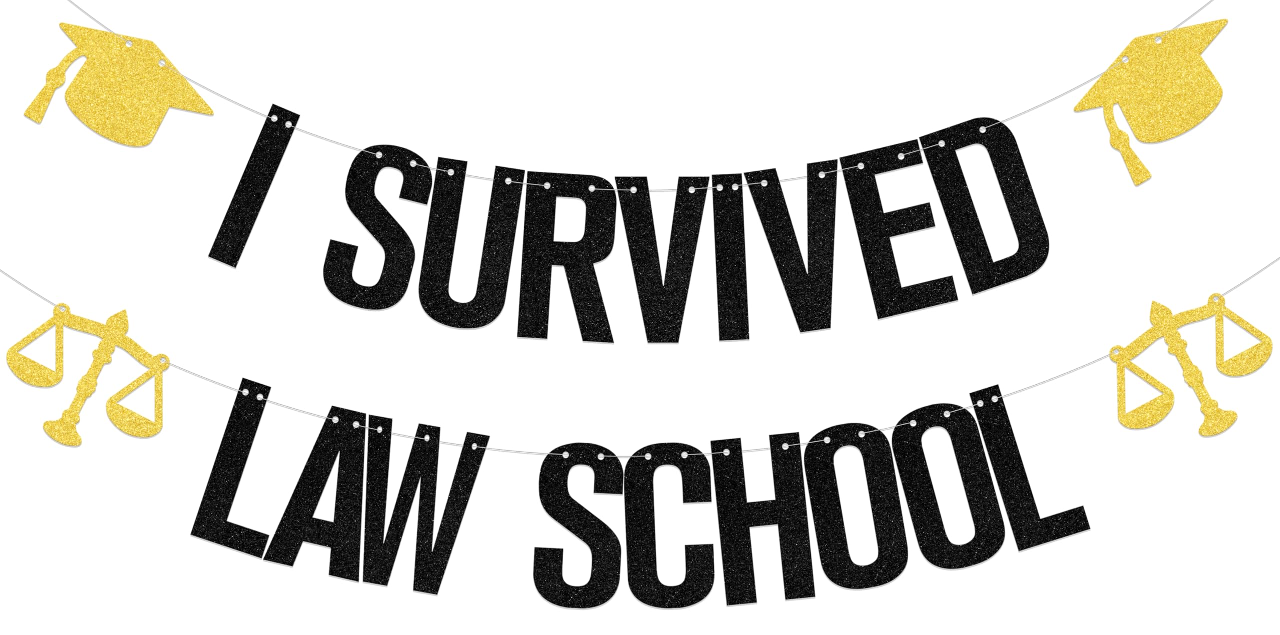 I Survived Law School Banner Congrats Grad Party Decorations for Lawyer Lawyer Graduation Party Supplies Black Gold