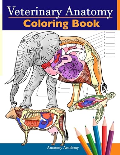 Veterinary Anatomy Coloring Book: Animals Physiology Self-Quiz Color Workbook for Studying and Relaxation | Perfect gift For Vet Students and even Adults