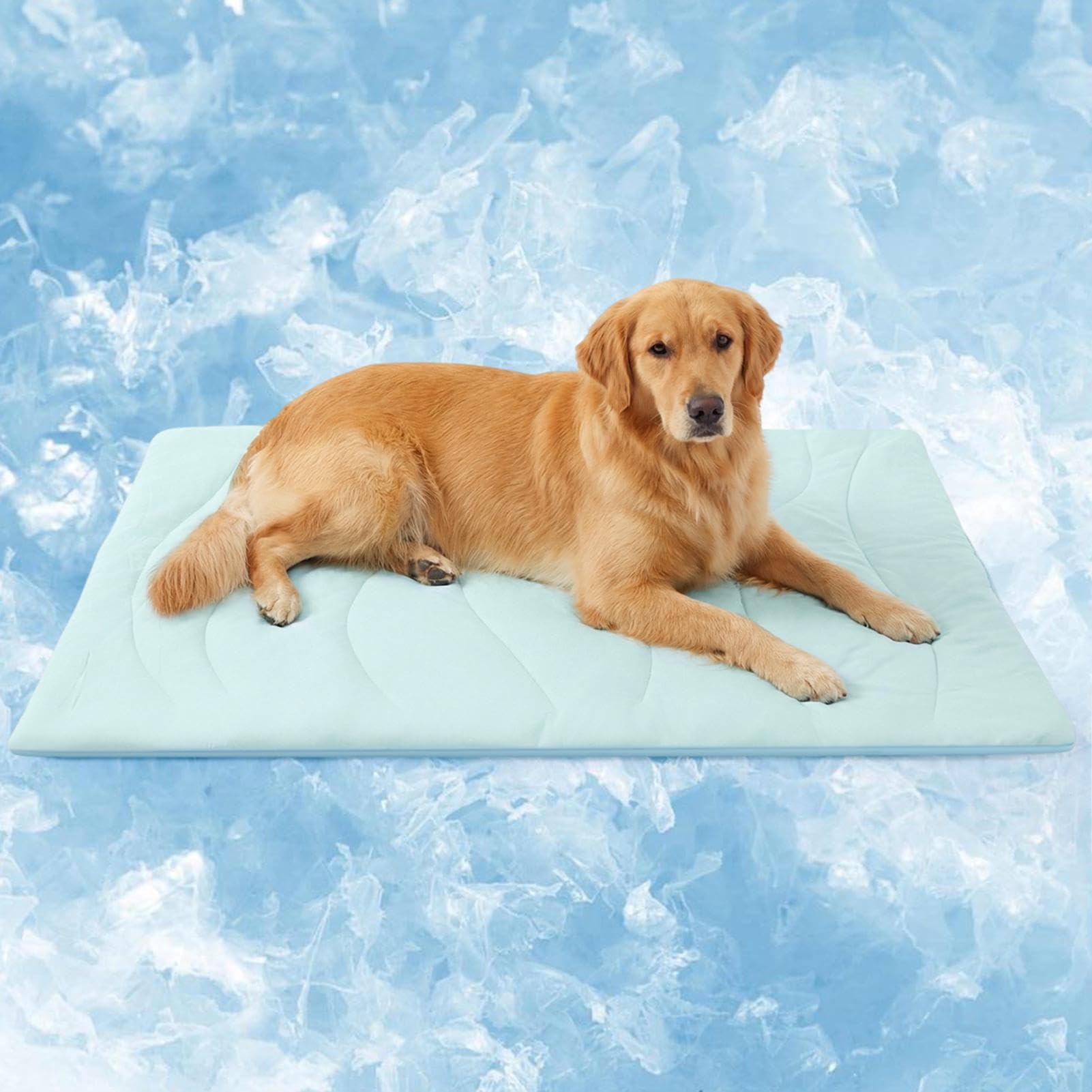 Tapis rafraîchissant pour chiens et chats – Tapis auto-rafraîchissant de 2,2 cm d'épaisseur (taille L 122 x 71 cm) – Lavable en machine, pas d'électricité nécessaire