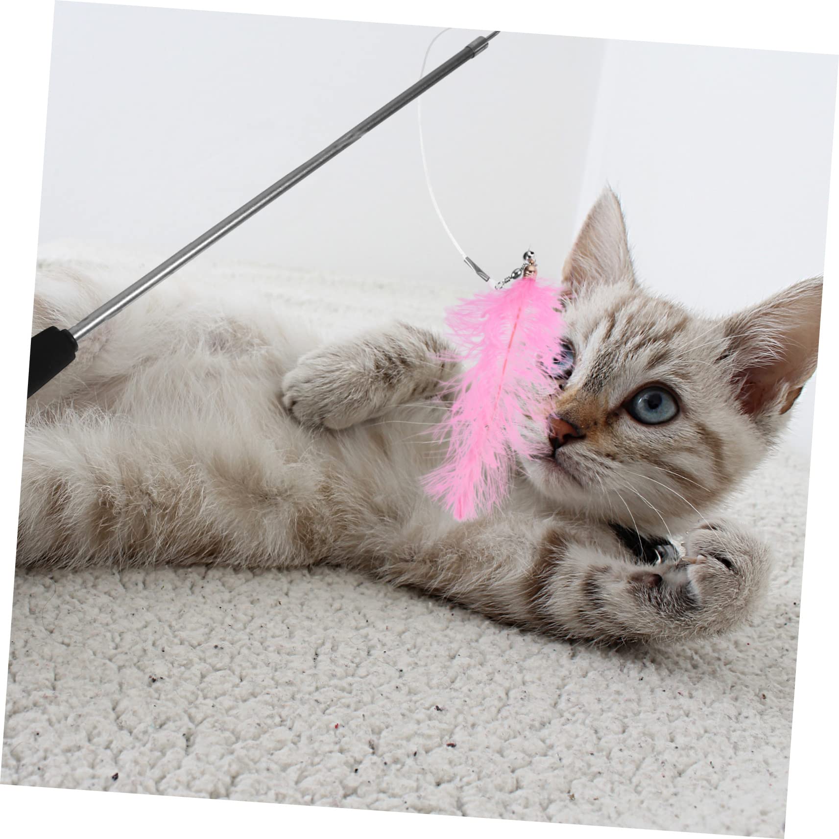 SUPVOX 3pièces Canne à pour Chat avec Jouets De Remplacement Interactif De Jeux pour Chat pour Divertissement Félins