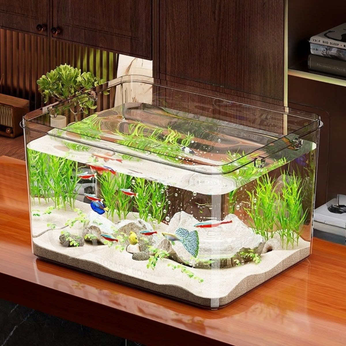 Amazon | [FILWY] 透明アクリル角型水槽 ガラス調 プラスチック製 小型