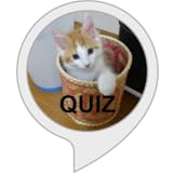 ネコクイズ
