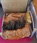 Review Image by Ms. Crystal Ms. Crystal