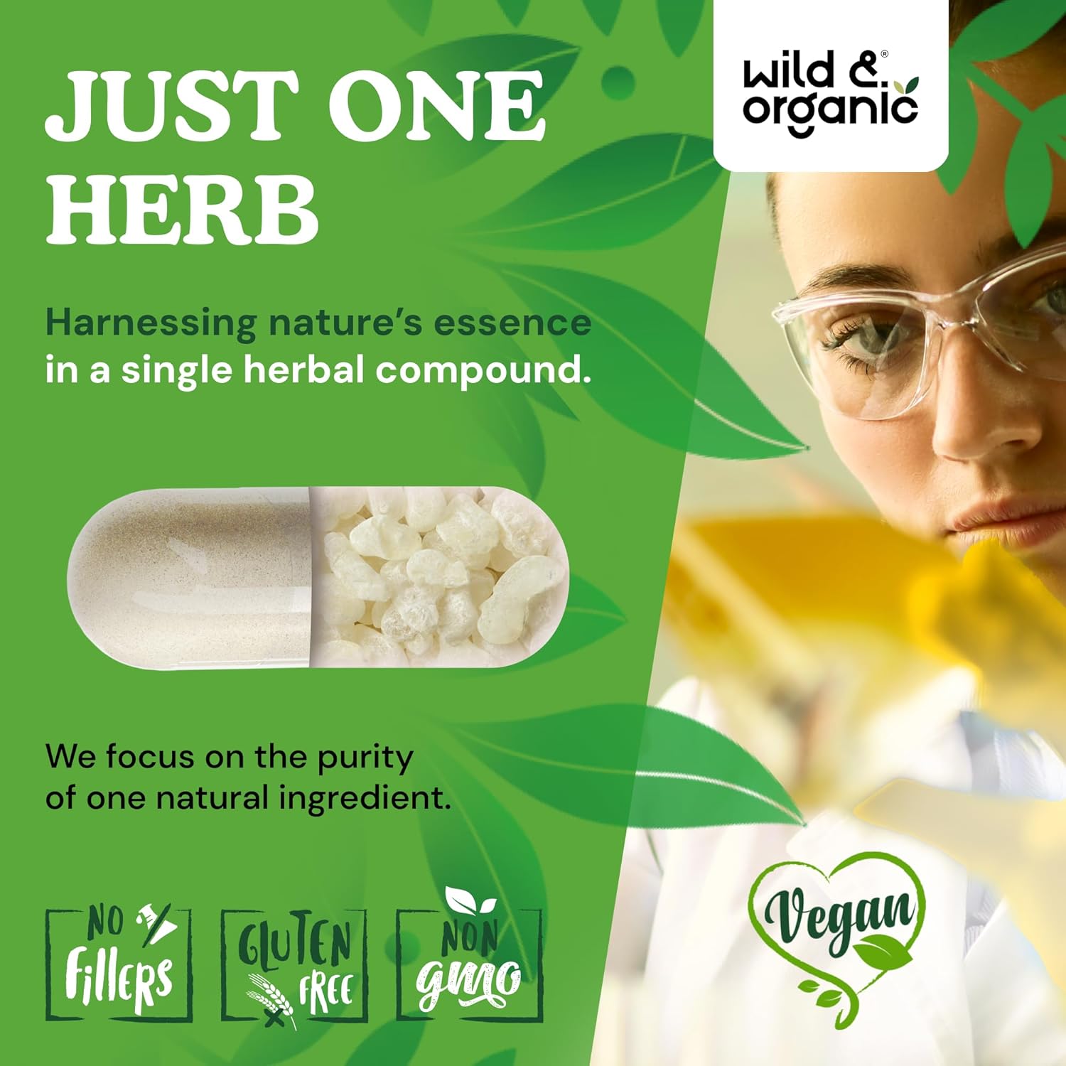 Wild & Organic Mastic Gum Capsules - 1000 mg Mastic Gum Supplement for Gut Support - 45 Days of Supply - 90 Vegan Resin Capsules - No Fillers, Non-GMO, Gluten-Free - Image 5