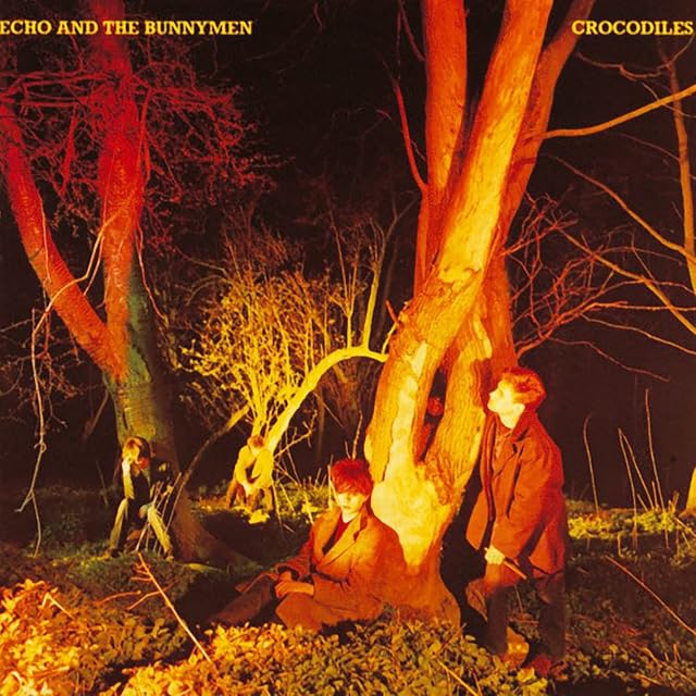 Crocodiles por Echo & the Bunnymen, capa do álbum
