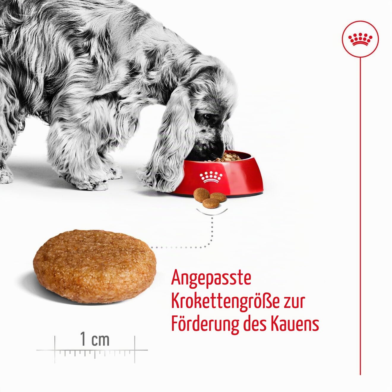 Royal Canin MEDIUM Adult 25, 15 kg- Hundefutter