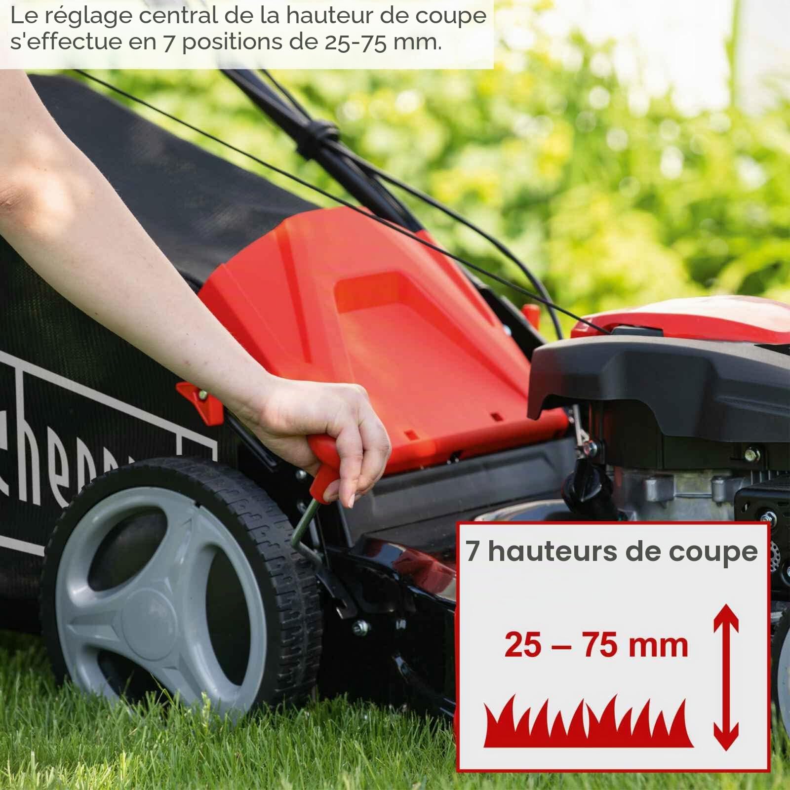 Scheppach Tondeuse à Gazon Thermique MS173-51 | Huile Moteur Incluse