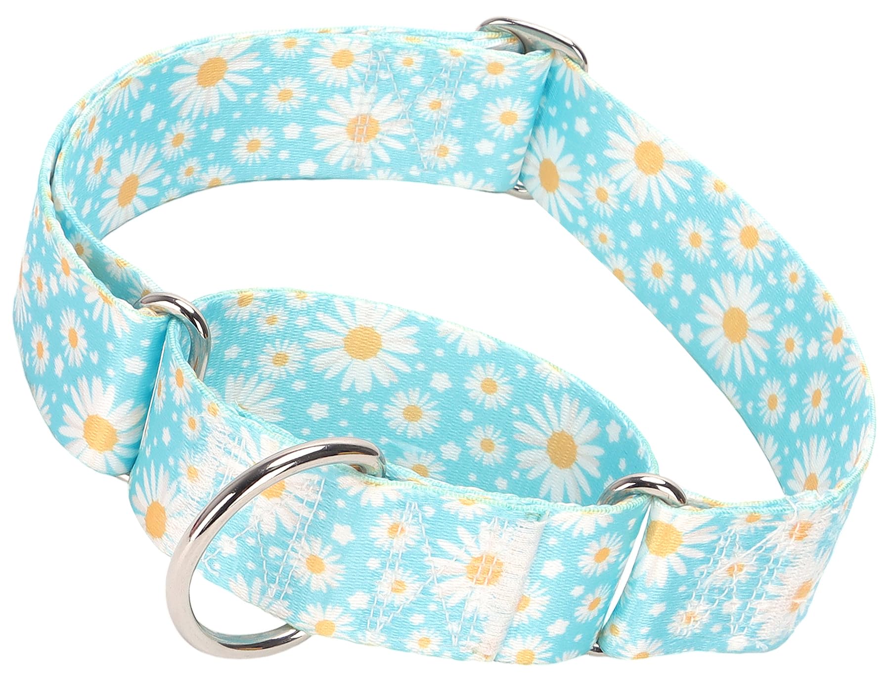 ONEFOJOJO 1.5 Inches Wide Martingale Dog Collar