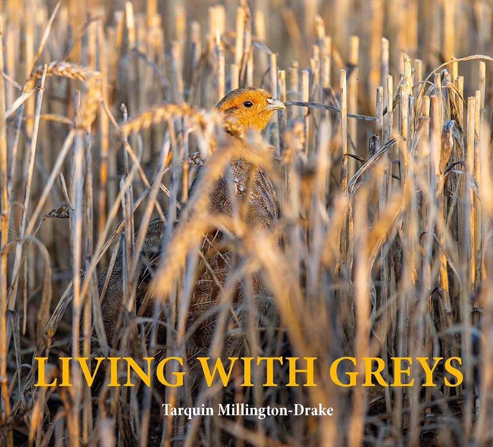 Living With Greys