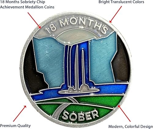 Miniatura 187 de The Achieve Mint Ficha sobria de 13 meses Chip sobrio de trece meses Regalo no AA, medallones no religiosos para hombres y mujeres que celebran