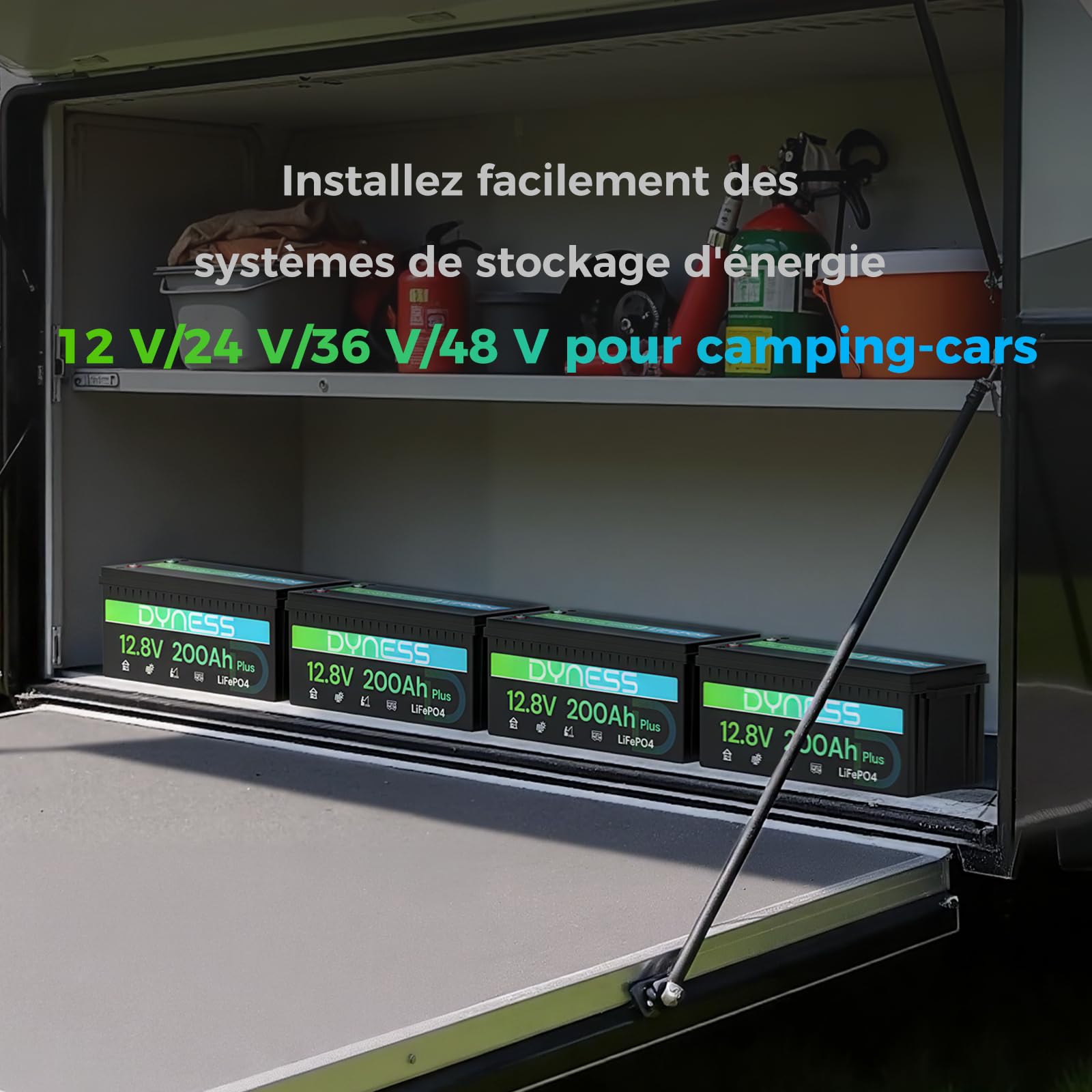 Dyness Batterie Lithium 12V 200Ah LiFePO4 avec BMS 200A intégré et Protection Basse Température, 2560Wh pour Camping-Car/Marin à Décharge Profonde, Solaire, Aventure/Van, Hors-Réseau