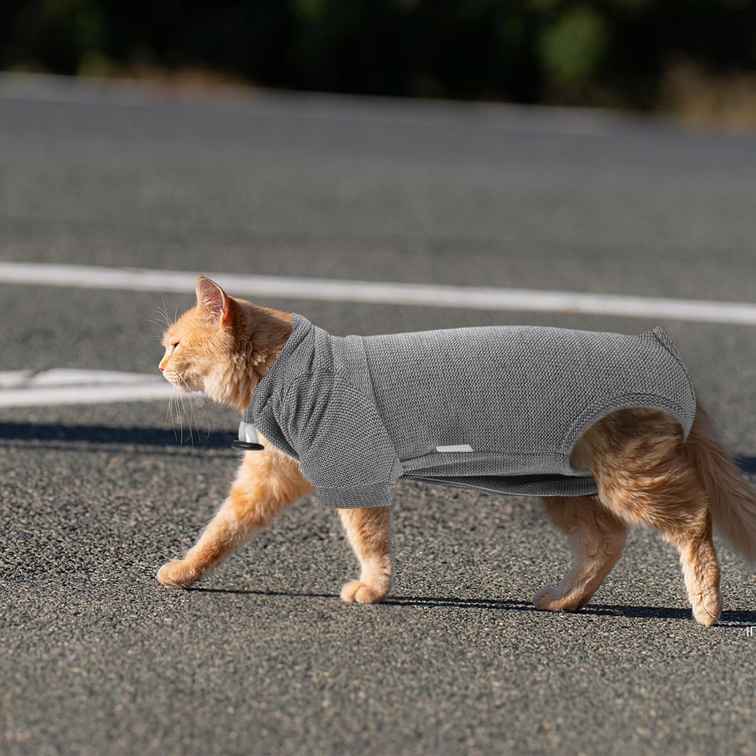 Levemolo Breathable Cat Suit with Tape Design Polyester Neutering Outfit for Cats Postsurgery Protection and Wound Care Seasons Use