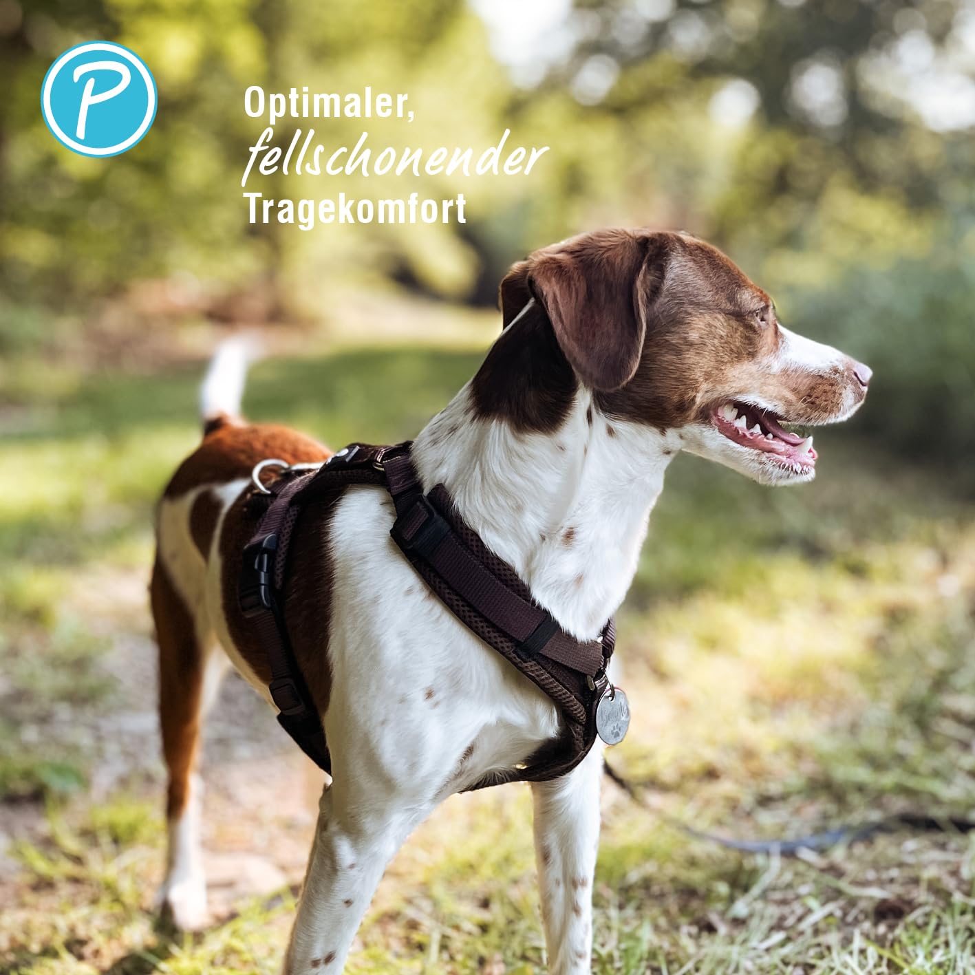 Petlando Hundegeschirr gepolstert, Mesh Y-Comfort, weich, stufenlos verstellbar, besonders leicht & atmungsaktiv, fellschonend, ergonomisch, Brustgeschirr für große Hunde, Mokka, L