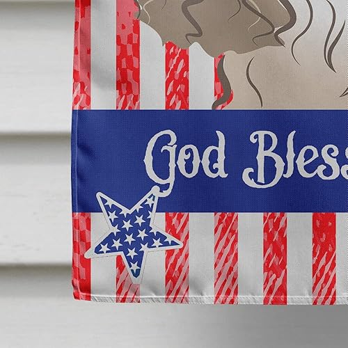 Vista 184 de Caroline's Treasures BB2171GF American Flag and Border Collie Garden Flag Mailbox Flag Decorative Yard Flag Banner Outside Patio Artwork Yard Flower