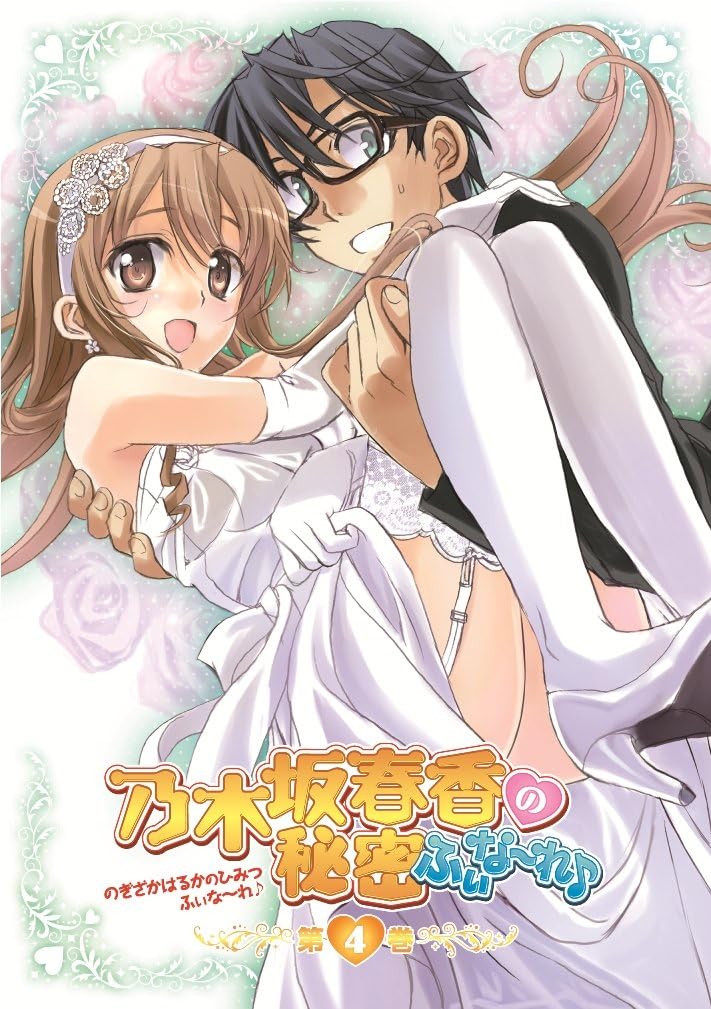 Fina Secret of Nogizaka Haruka OVA DVD [Japan Import]