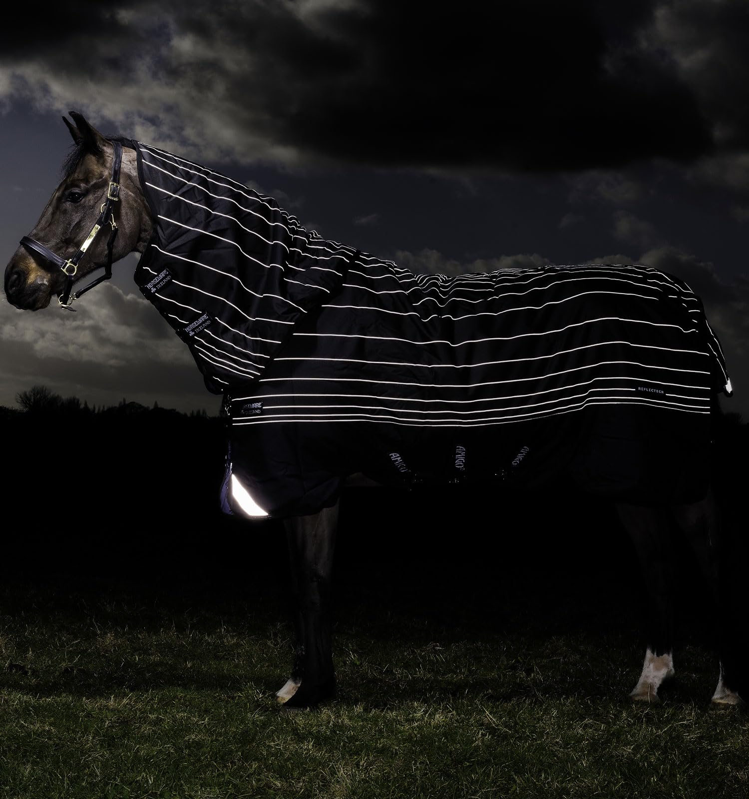 Horseware Coperta per Cavalli all'aperto Amigo Bravo 12 Reflective Plus Med 250g