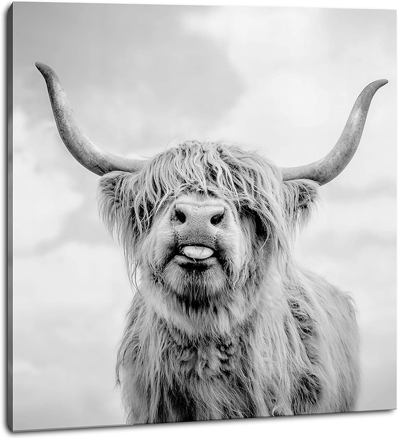 NdcSkyArt Large Cow Wall Art, Black and White Freedom Highland Cow