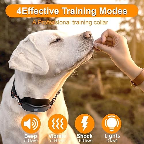 Miniatura 2 de Collar de entrenamiento impermeable con 4 modos de entrenamiento seguros, collar E de perro de 3300 pies con control remoto (para perros de 8 a 120