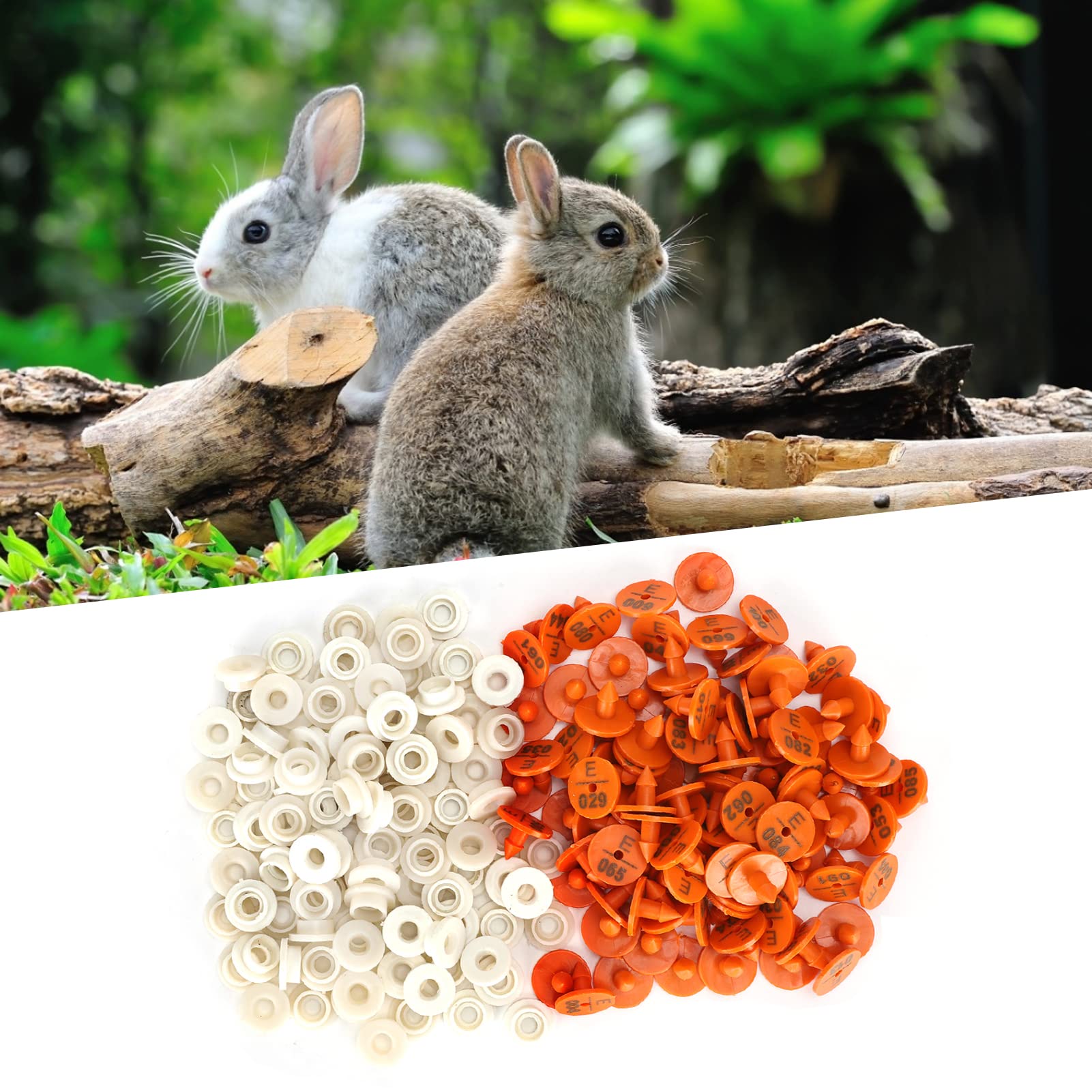 Gavigain 100 Ensembles Etiquettes d'oreilles Numéros, étiquettes d'oreille De Lapin Numérotées, Marqueur D'identification des Animaux, Fournitures Agricoles, Fournitures D'élevage