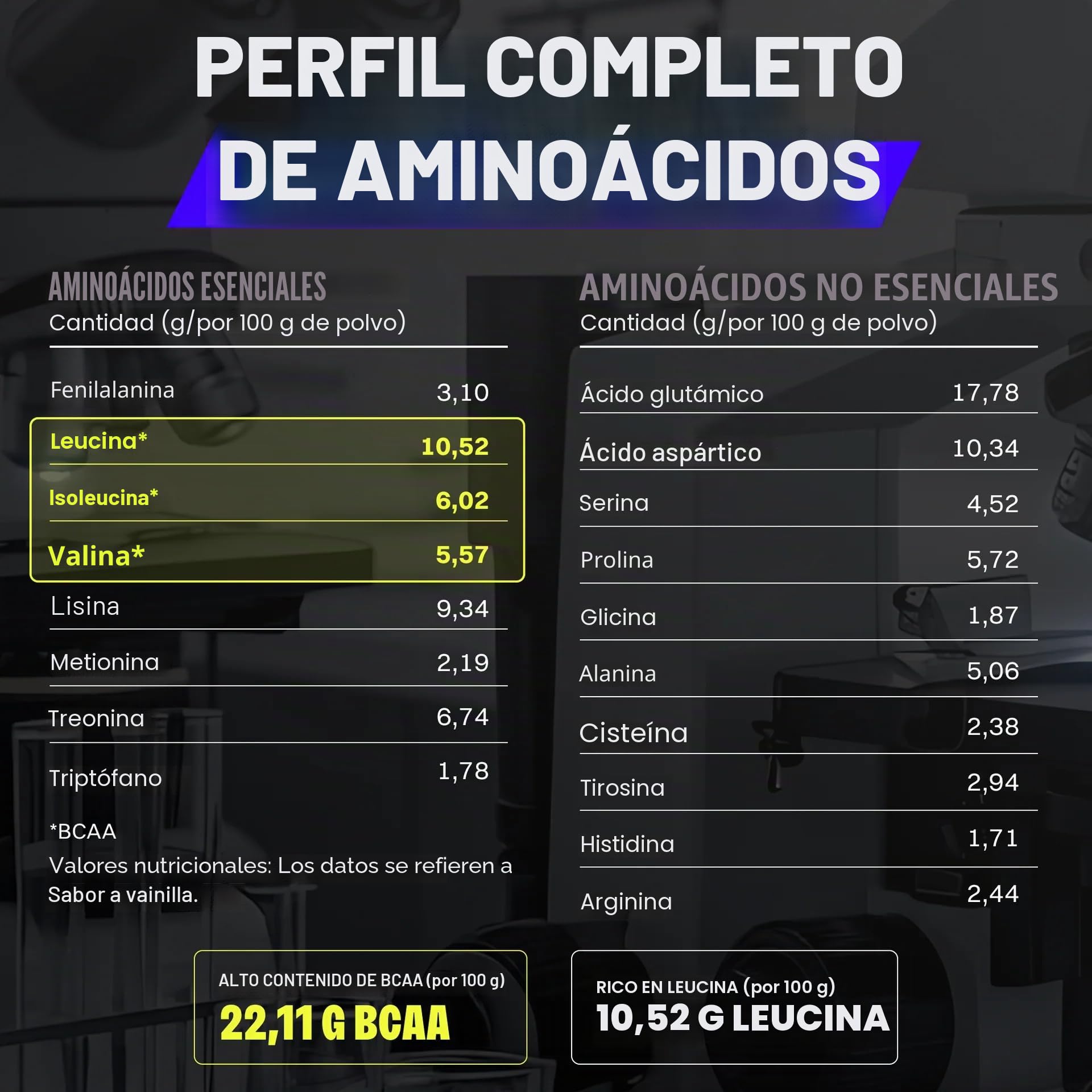 Bodylab24 Whey Protein Powder Vainilla 2kg, polvo rico en proteína para músculos más fuertes, la proteína de suero puede promover la construcción de músculo, con 80% de proteína, sin aspartamo