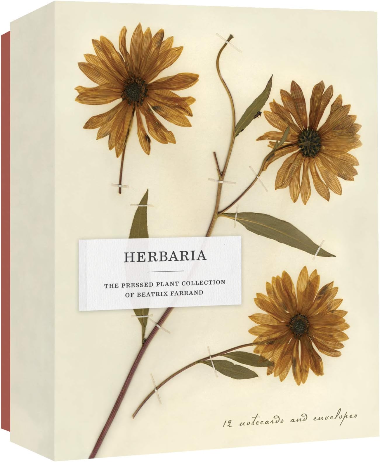Herbaria: the Pressed Plant Collection of Beatrix Farrand: Notecards and Envelopes Cards – 25 February 2020