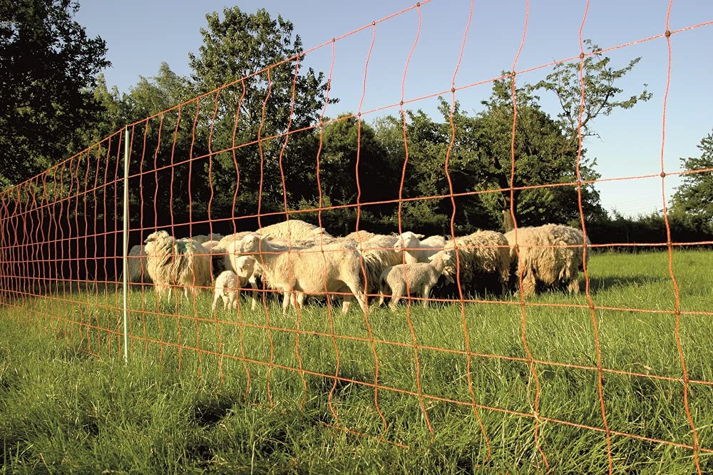 Ezcasch Mobiler Hühnerzaun 50m - Flexibler Gartenz Produktbild-Vorschau 6