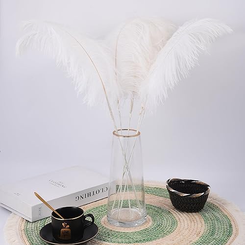 Miniatura 8 de Ballinger Plumas de avestruz grandes blancas  12 piezas de 24 a 26 pulgadas, kit de fabricación de plumas de avestruz a granel para jarrón, centros