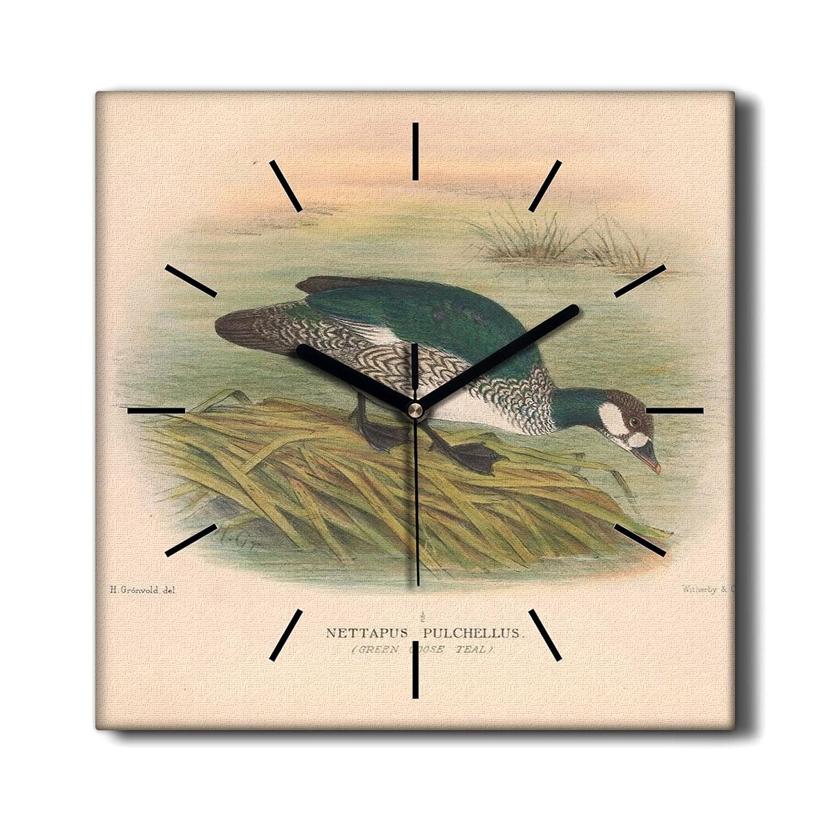 Horloge sans tic-tac Toile Décorative Oiseau 30x30cm pour Chambre
