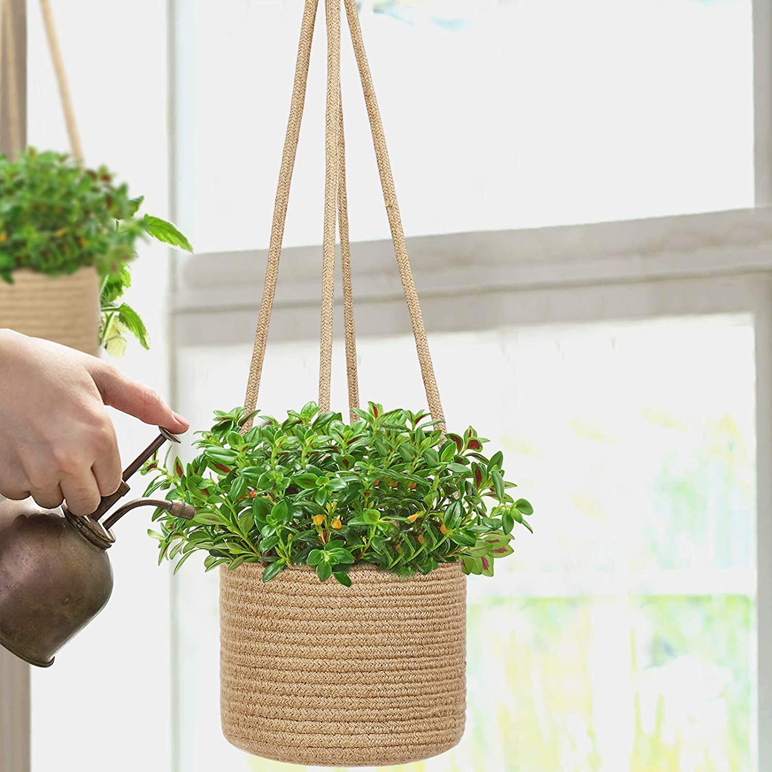See full amazon price history chart for WYLYE�- Modern Home ! Hanging Planters Jute Rope Basket, Plant Holder with Long Hanging Rope (Beige) WYLYE�- Modern Home ! Hanging Planters Jute Rope Basket, Plant Holder with Long Hanging Rope (Beige) (B0BG35Q22C) Amazon Price History, Amazon Price Tracker