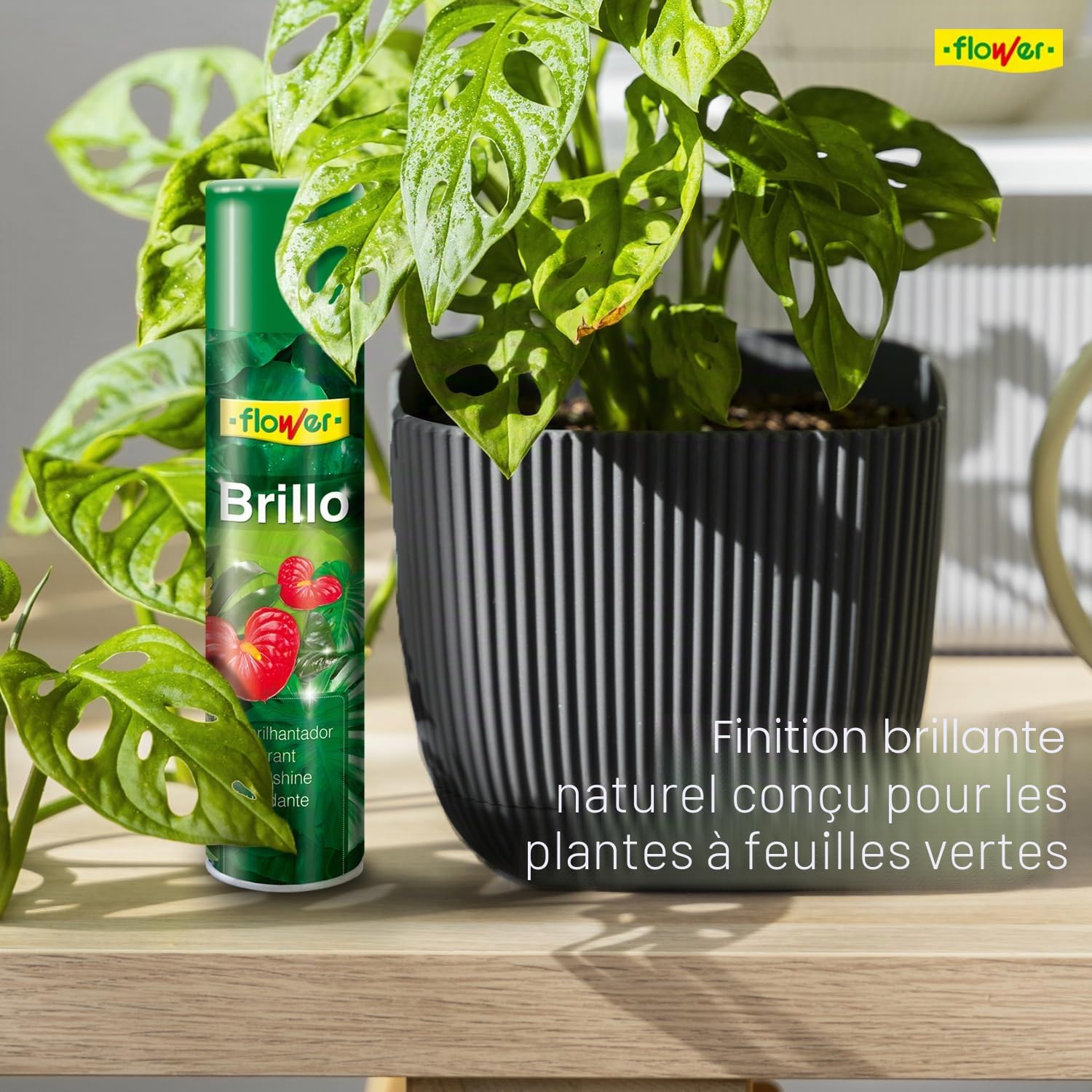 Flower 40501 – Spray Brillance pour Plante Naturelle hypoallergénique