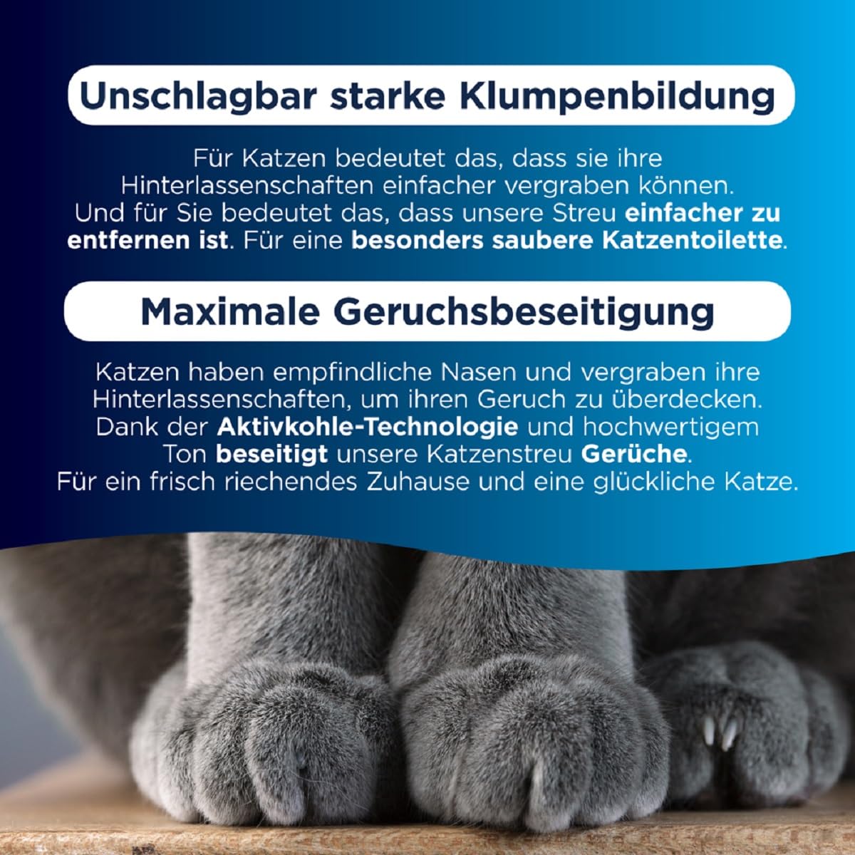 Ever Clean Extrastarkes klumpendes Katzenstreu, 10 Liter, duftstofffrei, parfümfrei, Einheitsgröße, EEVC012