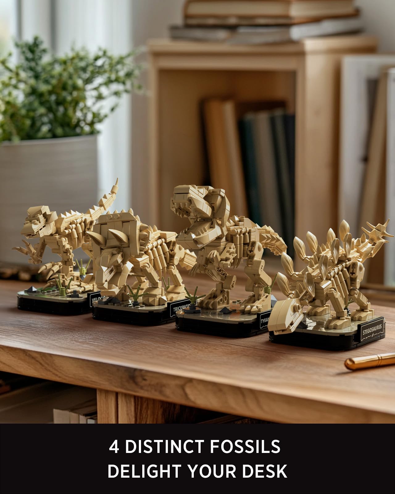 Nifeliz 4 Small -Maquettes Fossiles de Dinosaures Kit de Construction Squelette pour Adultes, Modèles de décoration de Bureau, Idéal pour Les Amateurs (1 101 Pièces, NF10360) - 3